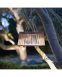MUSE Solar Outdoor Light MUSE Solar Outdoor Light